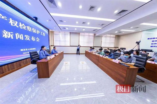 湖北通報知識產權檢察保護典型案例 侵權影片2200余部，8人因從事廣告業務獲刑