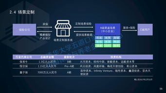 2017年中國(guó)保險(xiǎn)科技投融資報(bào)告 科技中介服務(wù)的崛起與重塑